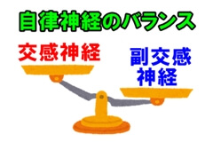 自律神経:交感神経と副交感神経のバランス